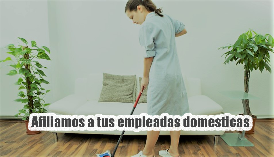 afiliaciones a empleadas domesticas